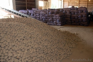 Оптовая продажа картофеля  #1594990