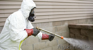 Дезинфекция в жилых и нежилых помещениях #1593686