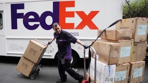 FedEx Максимальная скорость – при минимальных затратах. Доставка по всему миру. #1594545