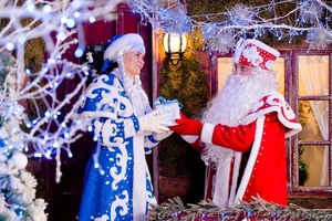 Дедушка Мороз и Снегурочка на дом #1595803