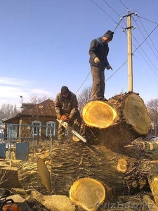 ИП Ратмир #1599148