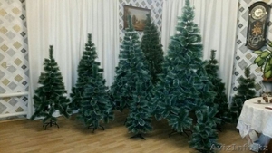 Доставка ёлок  #1597293