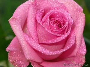 Объемный флористический лак-спрей с эффектом имитации росы #1600591