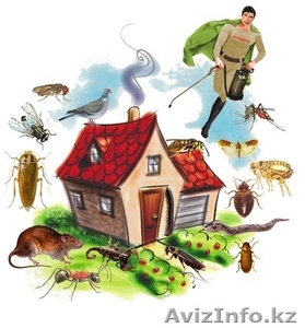 Дезинфекция  #1593603