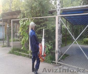 Дезинфекция,  Дератизация и дезинсекция в Алматы #1605805