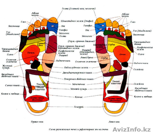  массажные тапочки релаксы полезный подарок для женщин на 8 марта #1608449