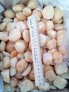 Краб камчатский,  гребешок курильский #1609146