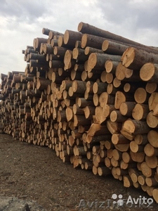 Лес.Пиломатериалы #1610308