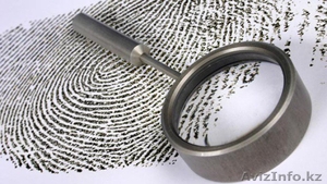 Частная сыскная компания 