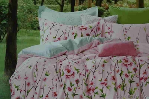 Постельное белье Аньго #1609723