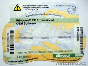 Windows XP Professional Oem 32 64 Bit Russian  #1611155