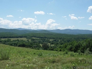 Готовый бизнес Талгар #1619677