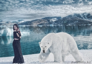 Изготовление слайд шоу в Астане #1246881