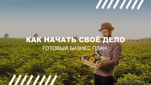 Производство биогумуса - бизнес план #1619787