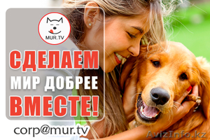 Информационная поддержка #1623298