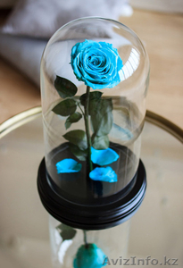 Вечная роза #1627249