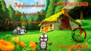 Уничтожение насекомых и грызунов, (клопы, тараканы, блохи, крысы и тд.) #1630794