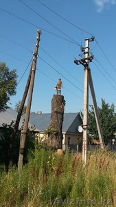 Спилим,  обрежем деревья. Верхолаз (арборист) Евгений,  спецтехника. #1337163