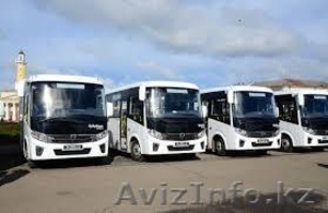 Аренда автобусов и другой техники  #1629338