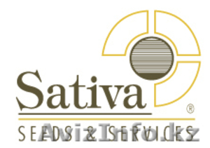 Семена овощных и бахчевых культур #1628851