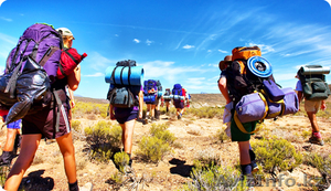 Турагентство«Navigator.KZ» #1633305