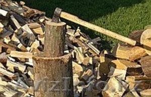 Услуги разнорабочего на приусадебном участке #1633336