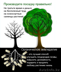 Садоводство, озеленение, удобрения #1633183
