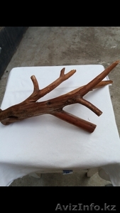 Аквариум #1633184