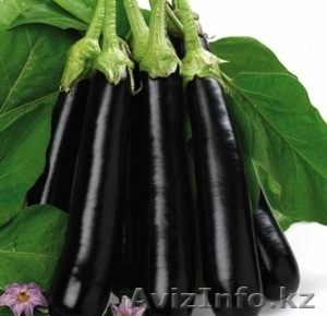 Семена баклажана Giralda F1 #1636151