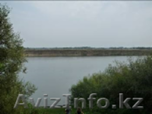 Отель #1634331