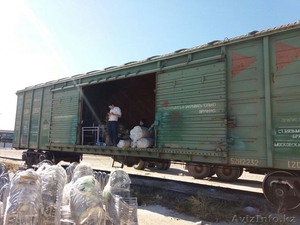 Перевозка крупногабаритных грузов #1635677