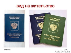 Миграционные услуги #1636972