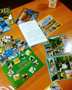 Развивающая игра 