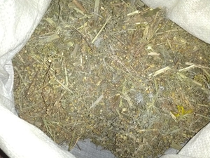 Пчелинное средство от варроатозе и нозематоза КАС81 #1646740