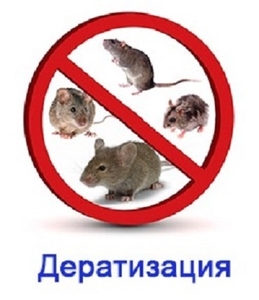 Уничтожения грызунов Дератизация #1649138