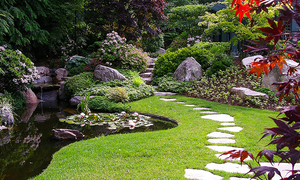 Озеленение,  проектирование,  строительство #1651294