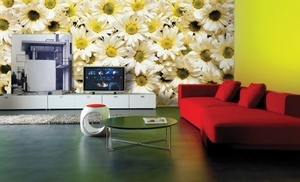 Фото обои #1656287