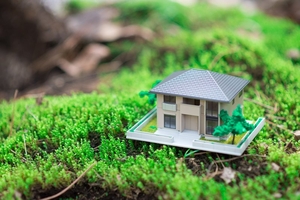 Изменение целевого назначения земельного участка Астана/Алматы #1661011