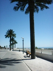 Набережная,  море,  курить запрещено,  евроремонт #1661427