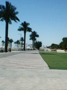 Не курящим,  евроремонт,  на набережной,  берег моря #1661435