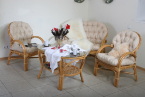 Готовый бизнес Плетеной мебели из Ротанга #1665310