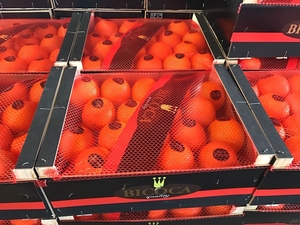 Фрукты и овощи из Испании. Прямые поставки #1666153