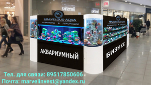 Аквариумный бизнес-продажа #1664790