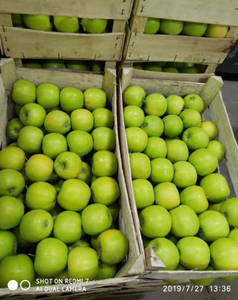 Яблоки Голден Делишес,  Гренни Смит,  Айдаред,  Ред Чив оптом.  #1666856