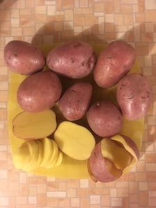 Картофель от Производителя Качественный #1672936