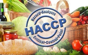 Внедрение стандарта безопасности пищевой продукции  HACCP/ ISO 22000  #1673085
