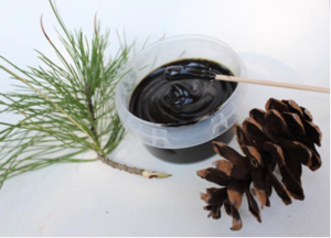 Хвойная хлорофилло–каротиновая паста #1674431