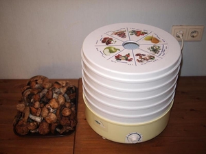 Электросушилка для овощей и фруктов бытовая Дива РОТОР (