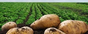 Продам участок  около Алматы #1675437