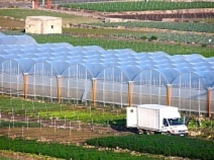 Пленка поливинилхлоридная парниковая #1677305